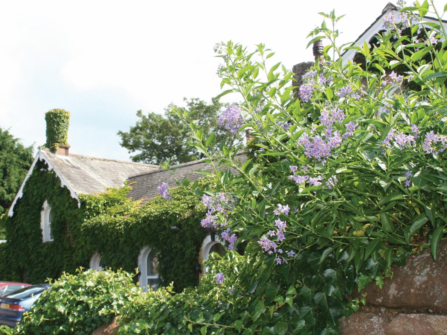 The Brantwood Hotel Penrith Extérieur photo